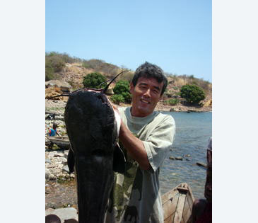 Record photograph for Dinotopterus cunningtoni